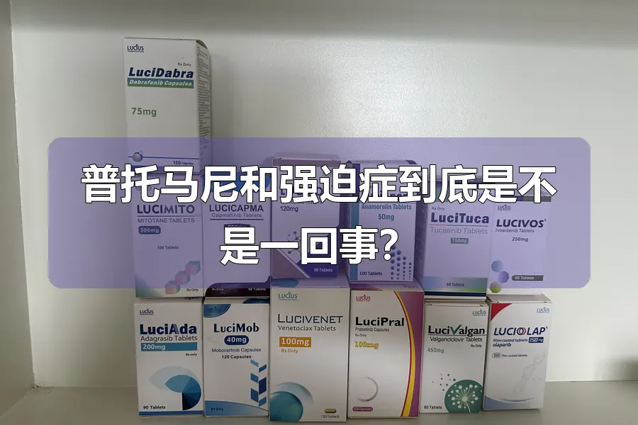 普托马尼和强迫症到底是不是一回事？